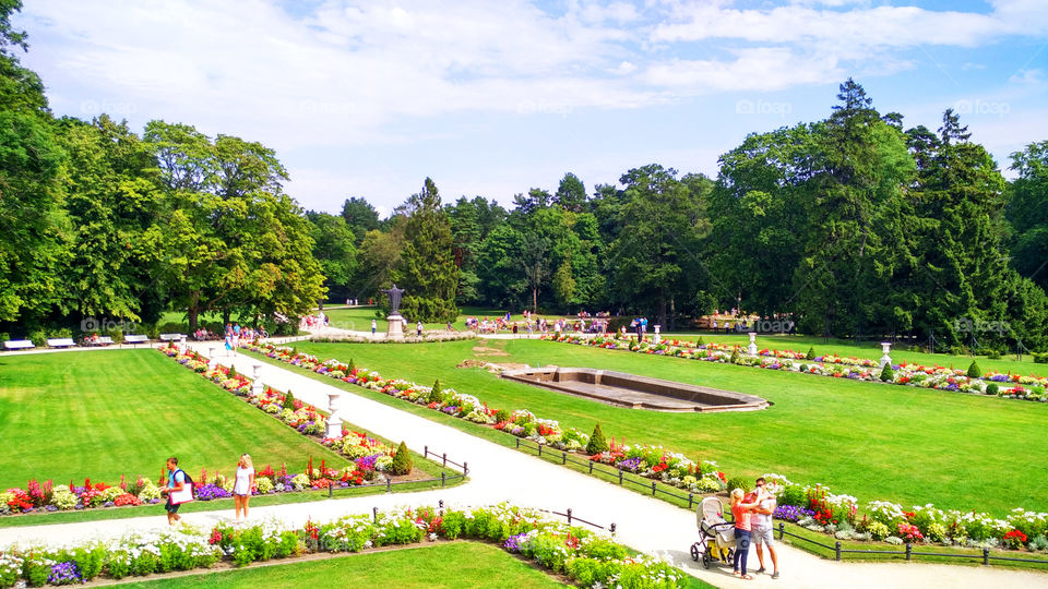 decorating the city park with the help of flowers