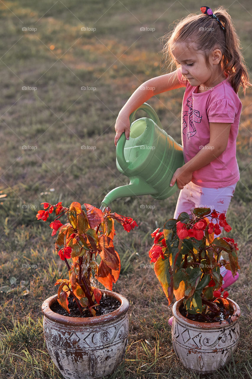 Watering the flowers growing in flower pot, pouring water from green watering can, working in backyard at sunset. Candid people, real moments, authentic situations