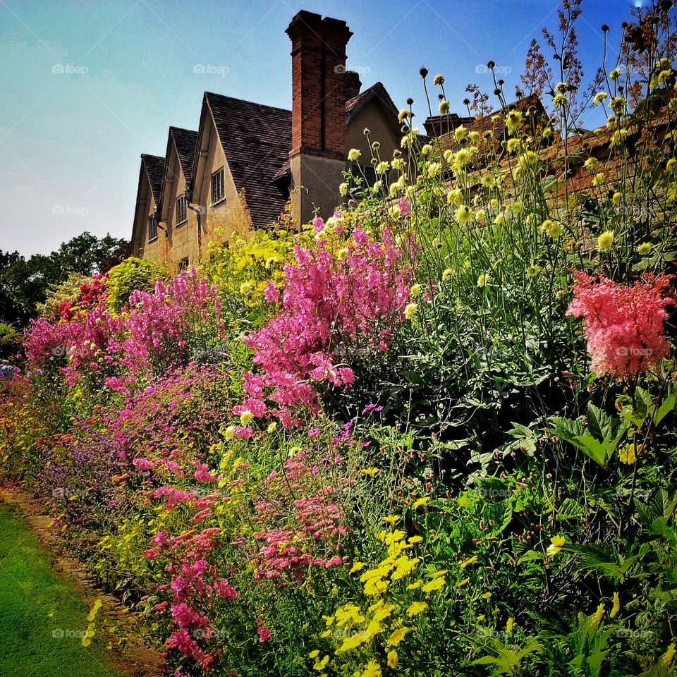 Garden. Old walled garden