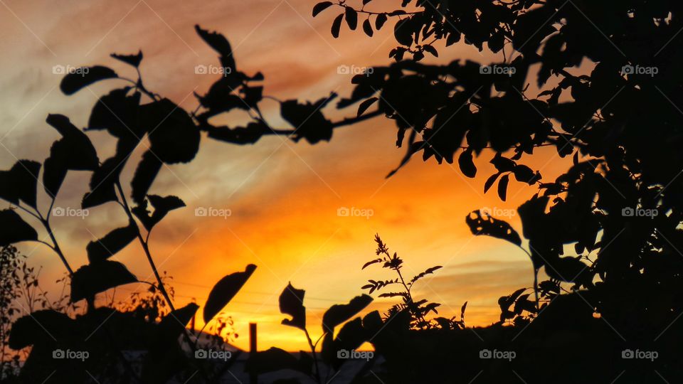 the evening sky over the Urals