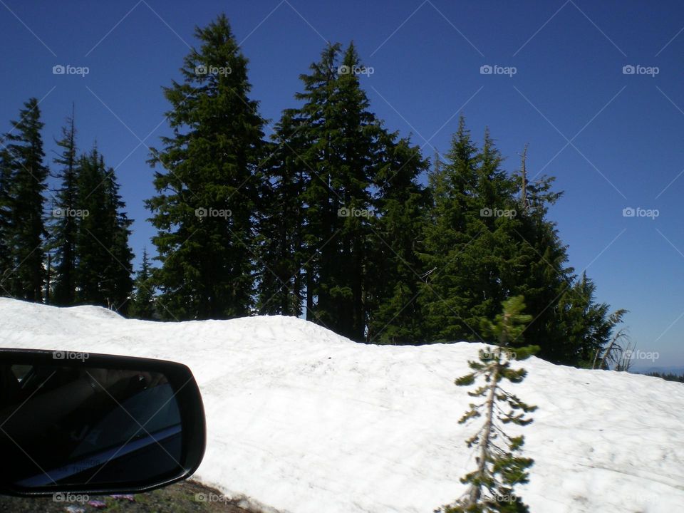 view outside a car window of the side mirror, trees, and piles of snow on a mountain drive through the Pacific Northwest