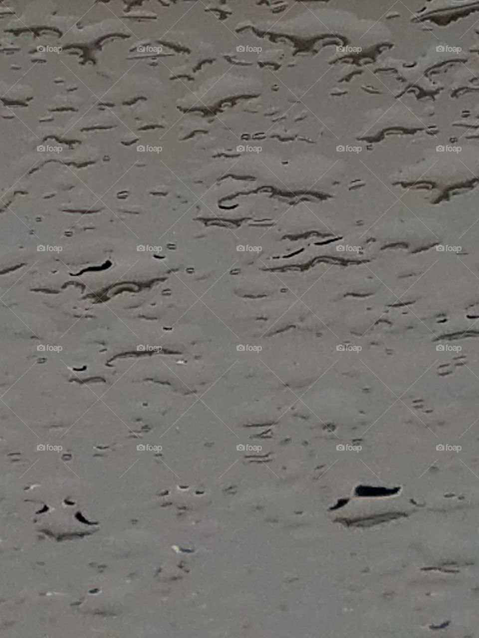 Raindrops on the Windshield