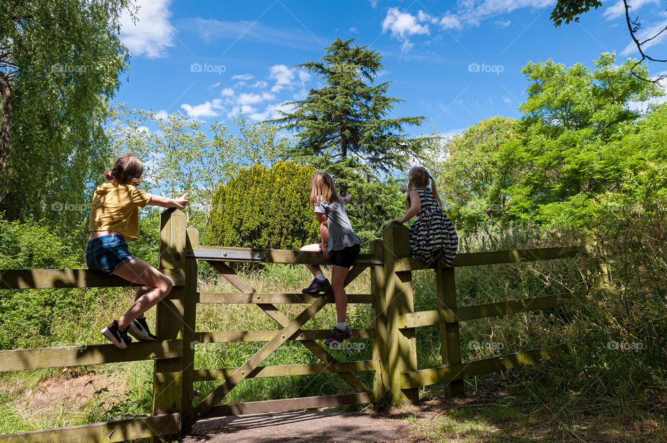 Children sitting on a wooden fence and pointing at the highest tree.