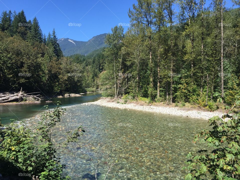 Water, Nature, Tree, River, No Person