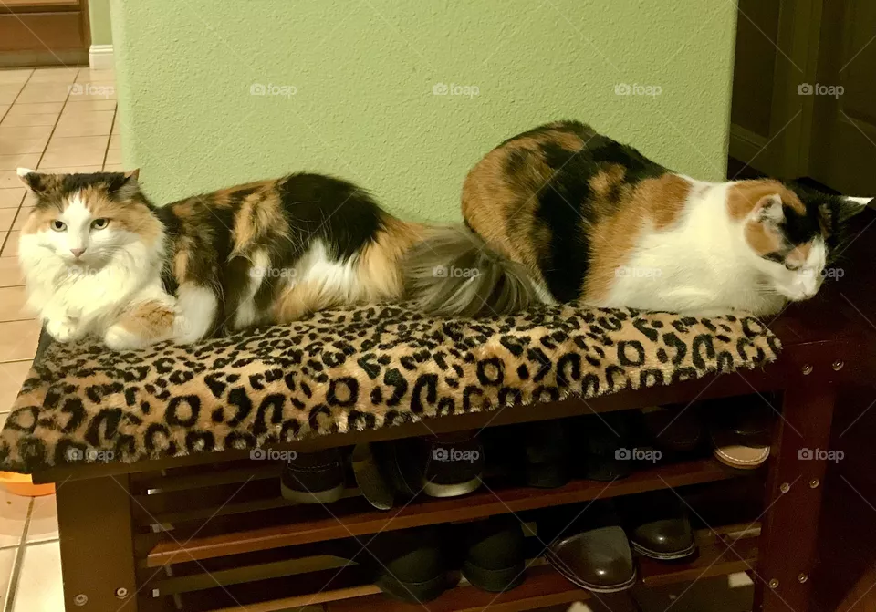 Sisters hanging out 