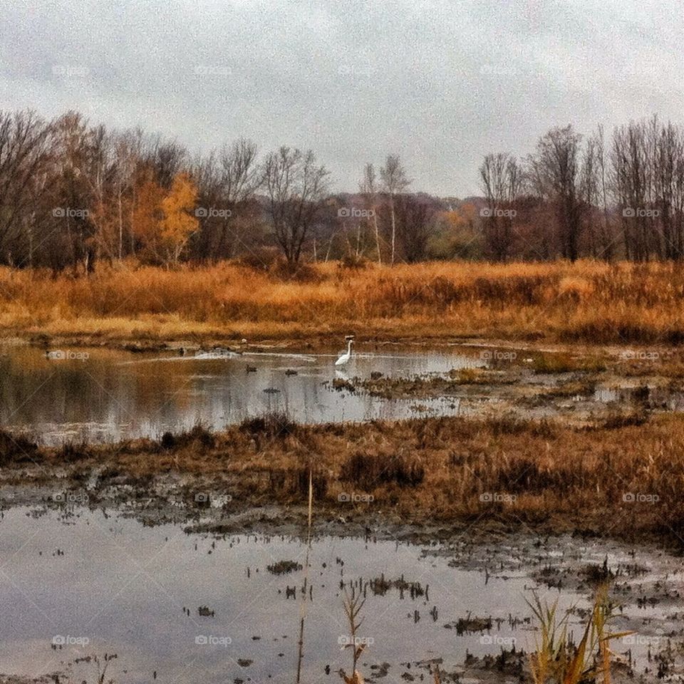 Silver Hands State Park