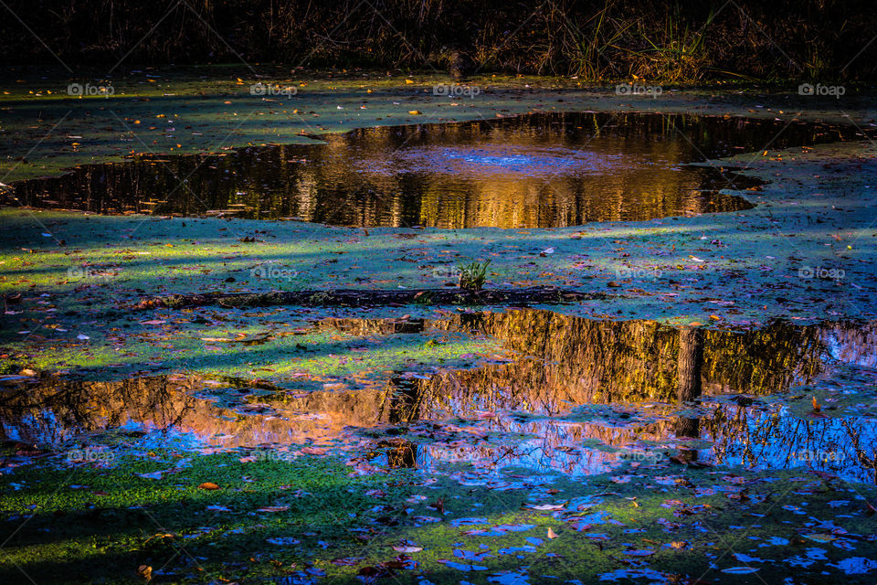 Autumn Reflections 