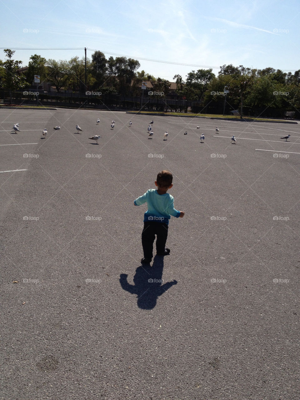 Baby and birds