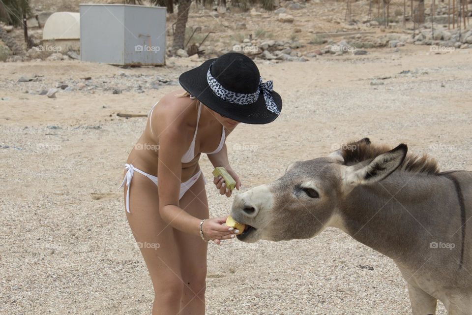 a girl in a white bathing suit and a black hat is feeding a donkey with an apple in the village