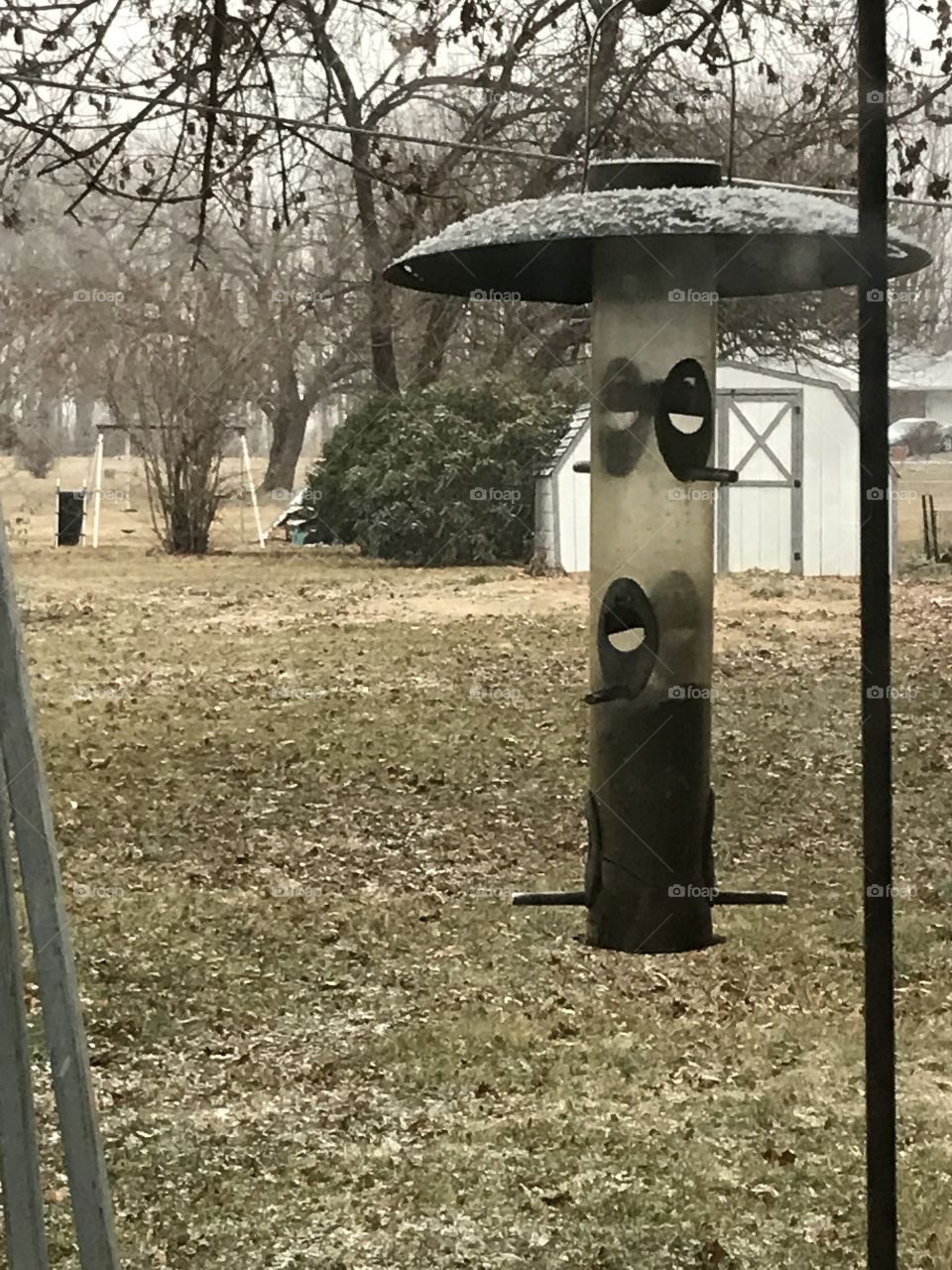 Bird feeder in snow