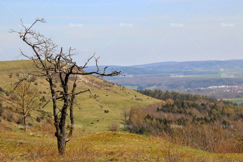 Landscape view of hills, forest and grassland