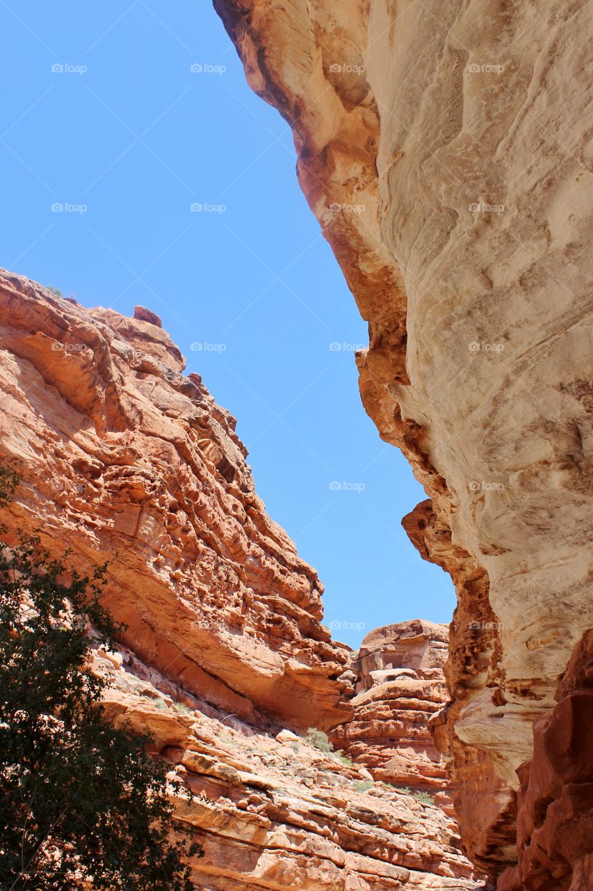 A view looking up from the bottom of the Grand Canyon while hiking to Havasupai