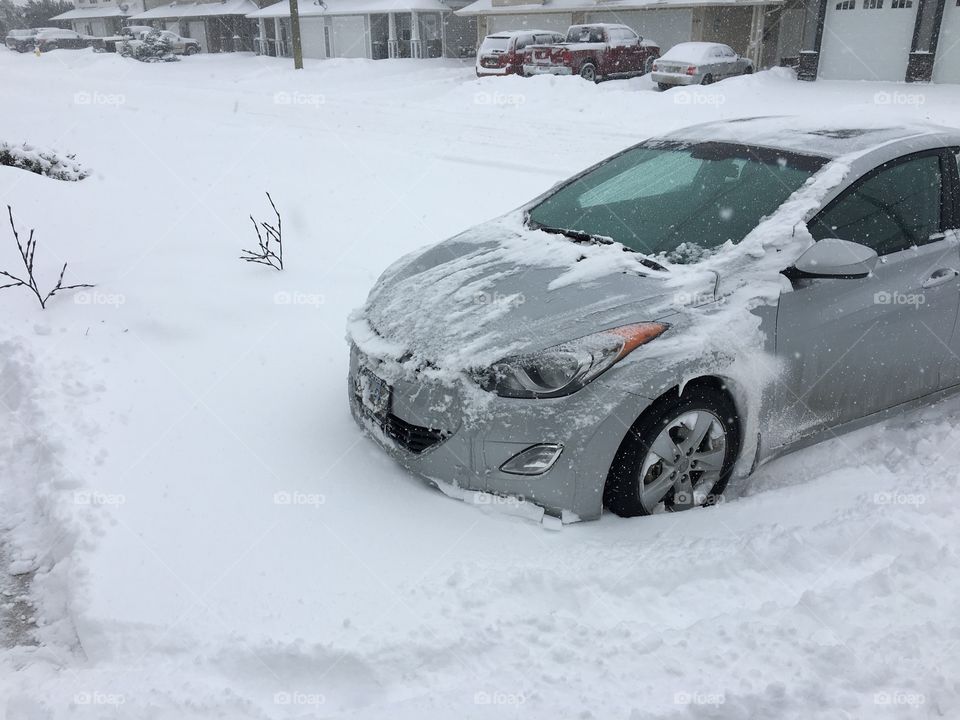 Stuck in the snow 