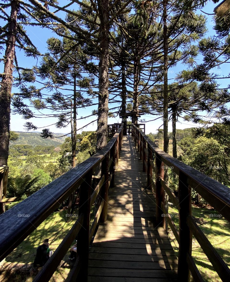 Paths that transmit peace.