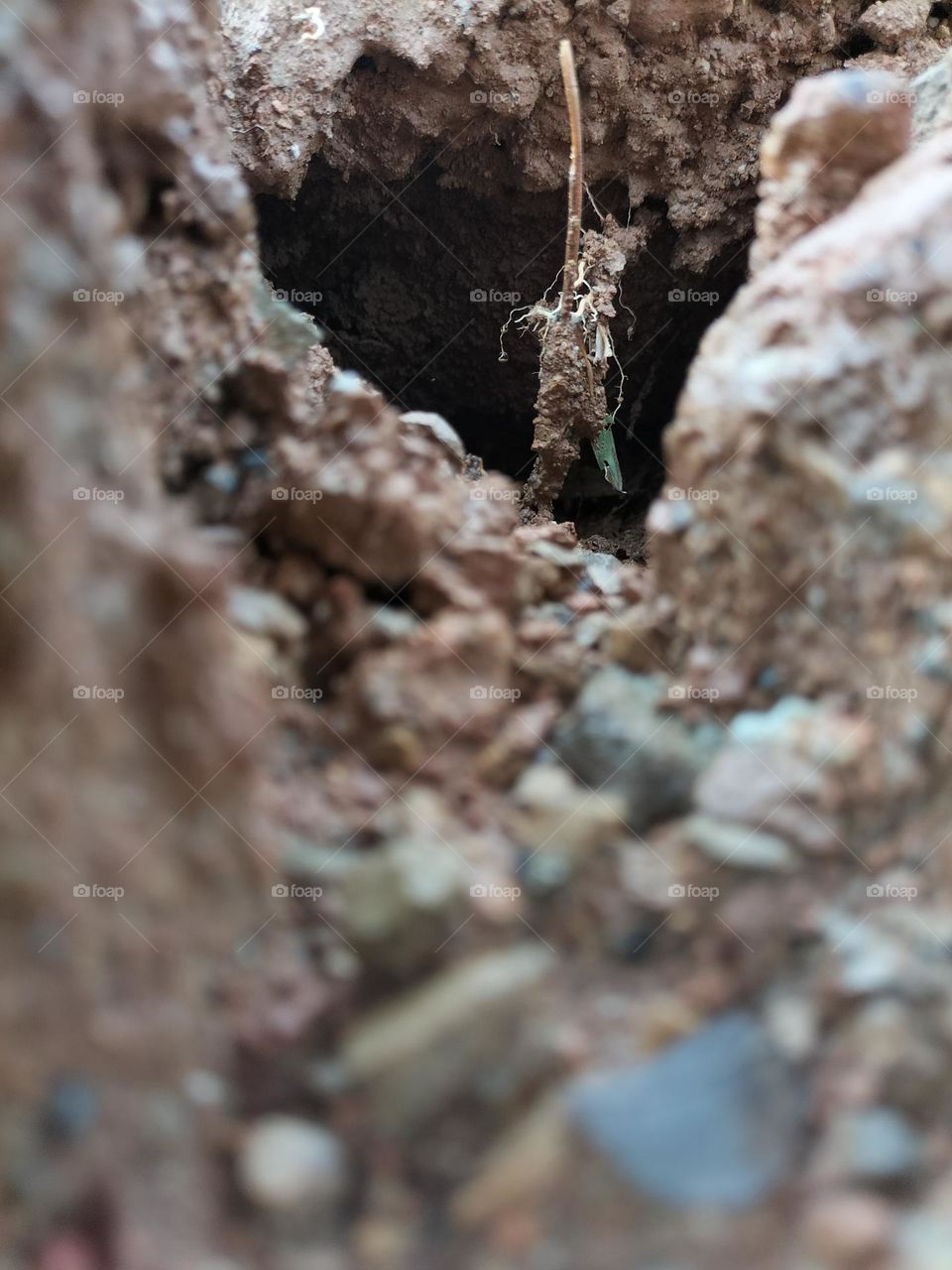 Image of hollow soil texture