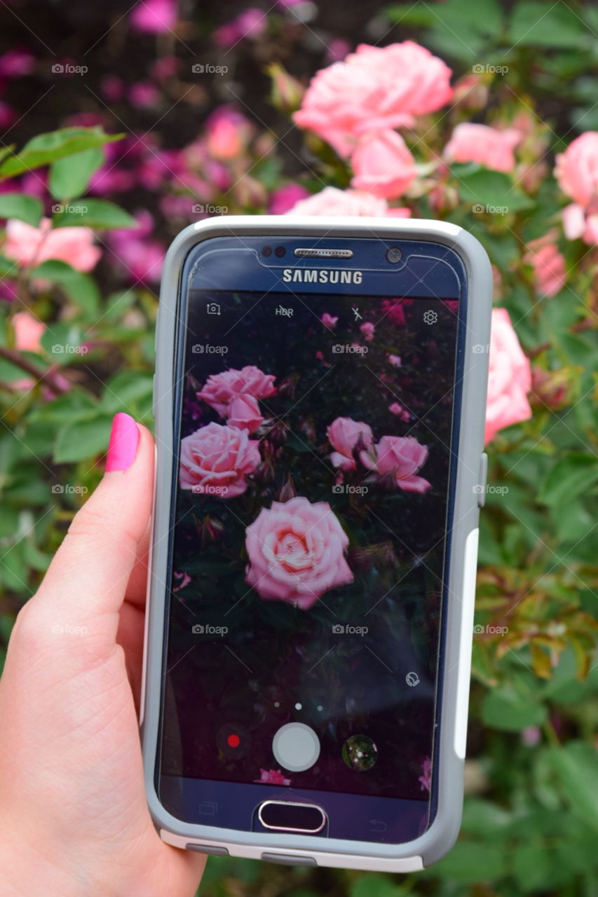 technology and nature together