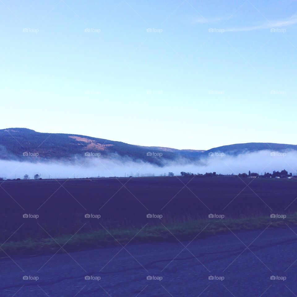 Foggy morning farmland! 