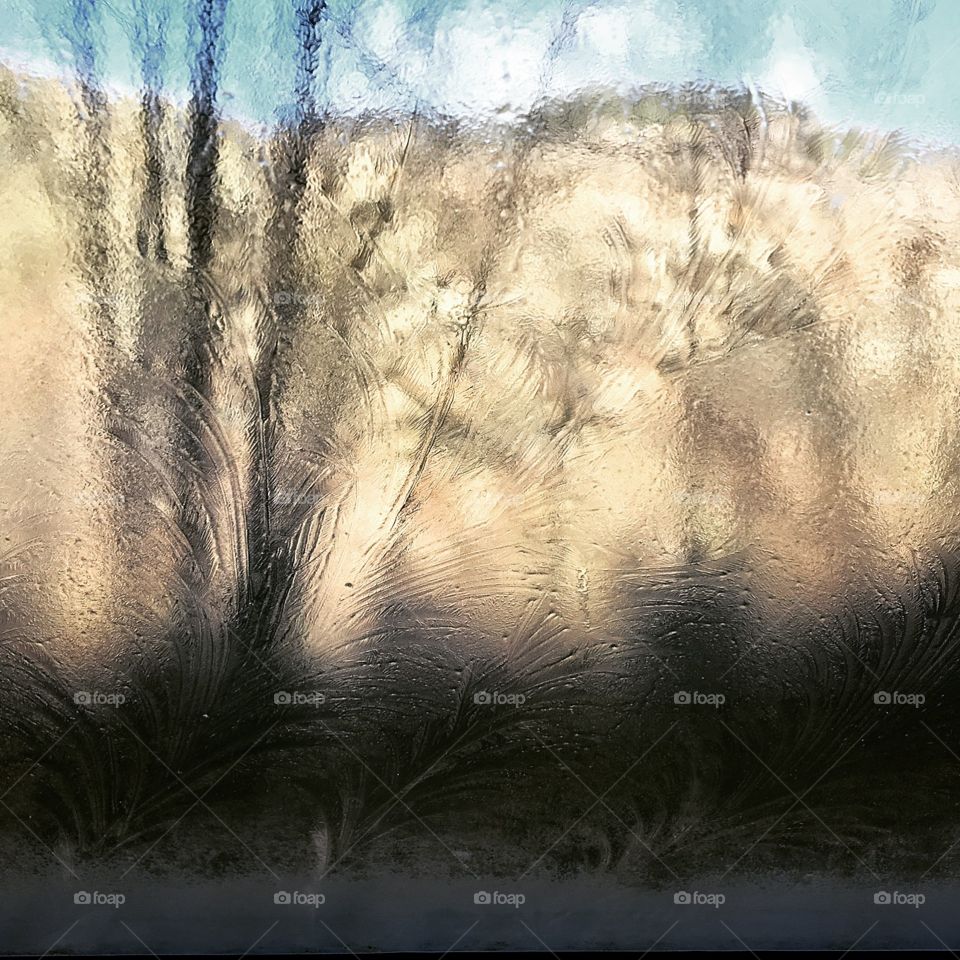 Ice flower are like positive reinforcement - they are biodegradable  and need to be repeated often ;)