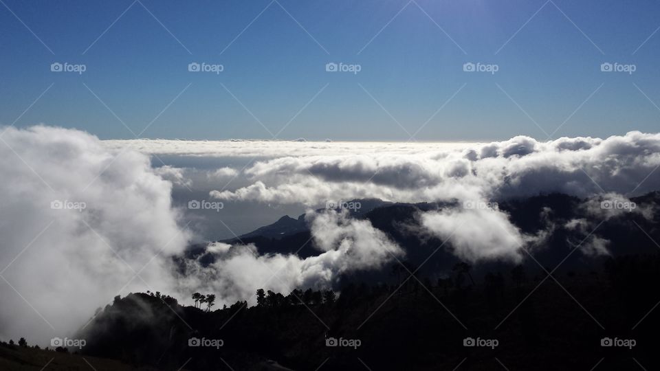 Up the Clouds, Madeira Island