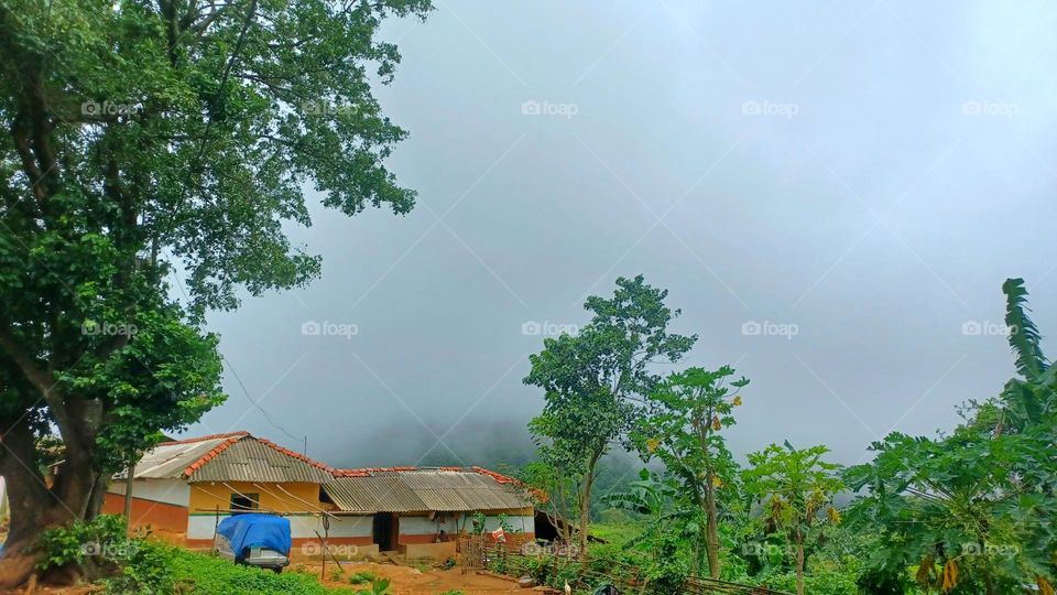 A cottage situated in the lap of captivating nature