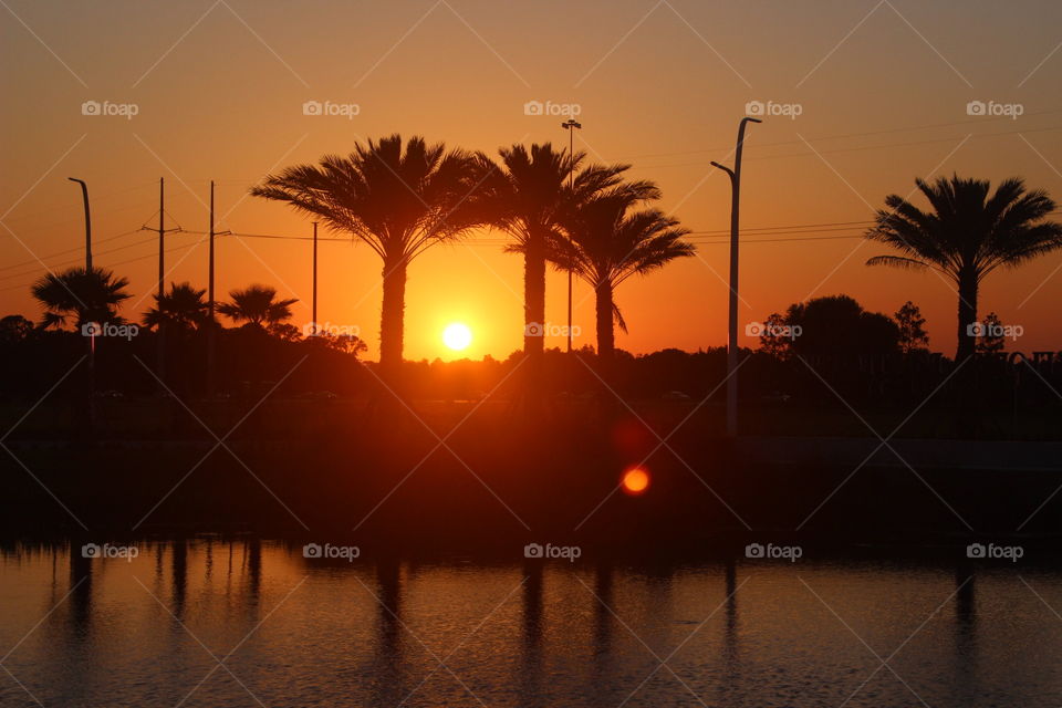Florida sunset at polytechnic university