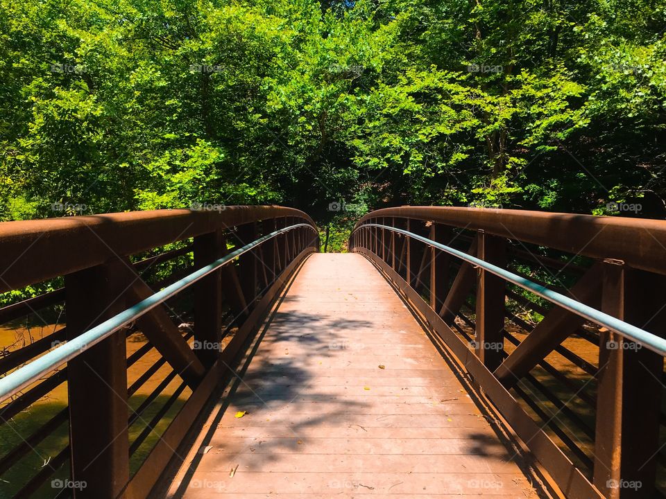 Bridge over river with tree background 