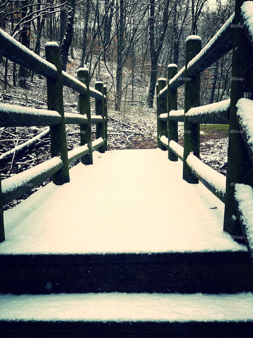 Snow Bridge