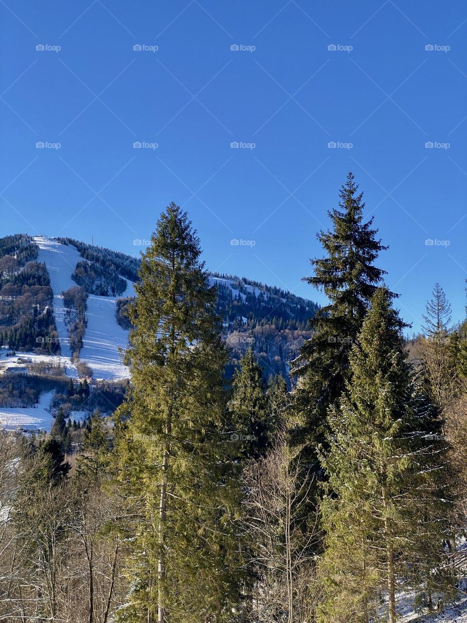 Photo of the Ukrainian Carpathian Mountains. The photo was taken on a phone while walking through a Ukrainian winter forest. A wonderful time for walks in nature, photography brings back pleasant memories.