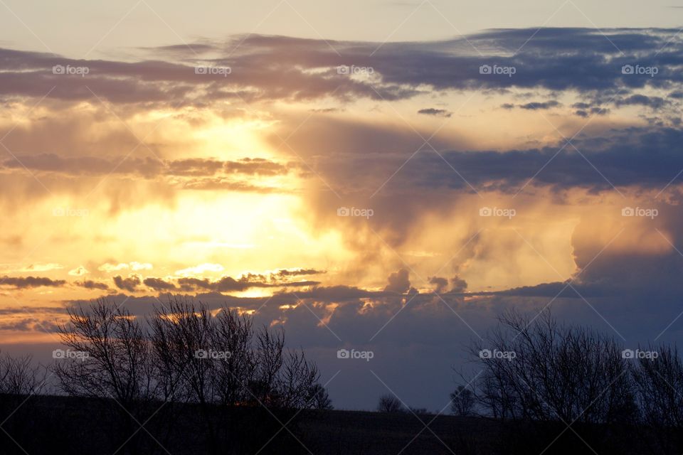 Brilliant golden sun and misty clouds over a tree-silhouetted horizon