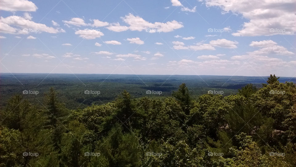 Fire Tower View 2