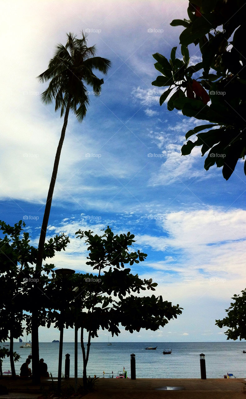 sky blue trees thailand by bartosz