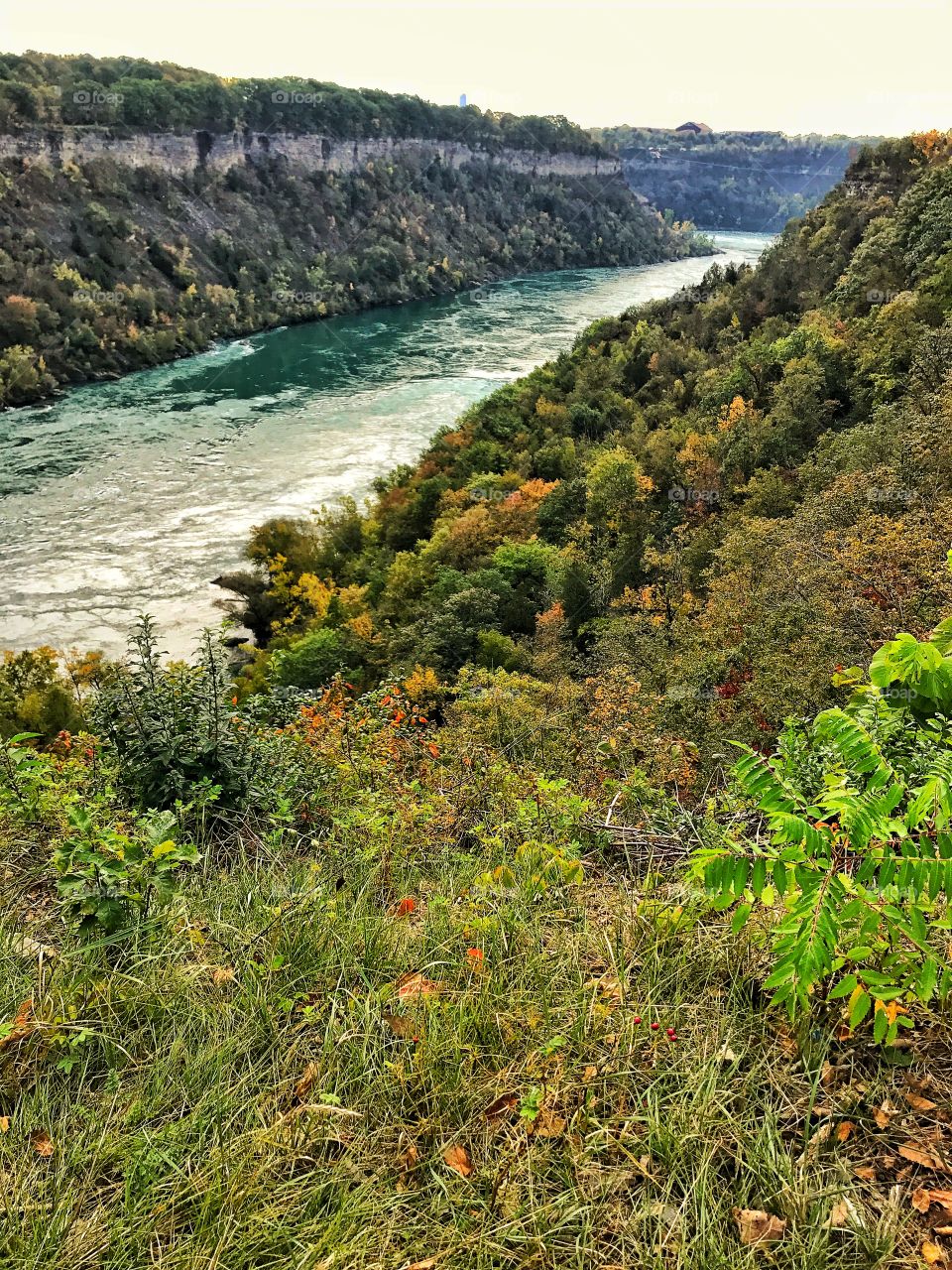 Lower niagara river