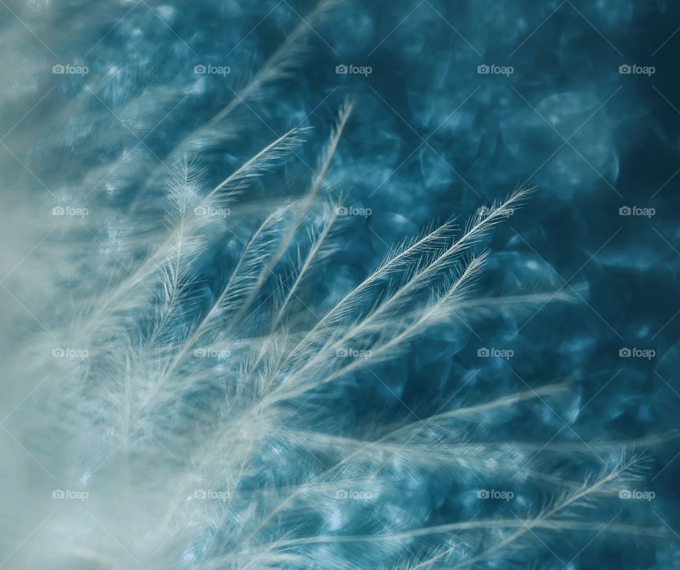 Pen bokeh background macro close-up texture abstract light