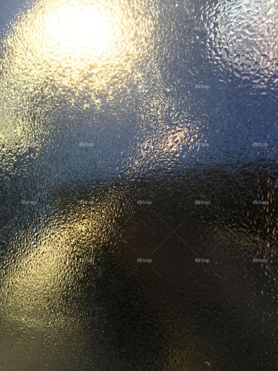 Dew outside a cat window