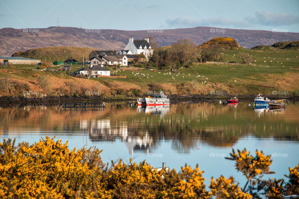 Distant view of boats and houses