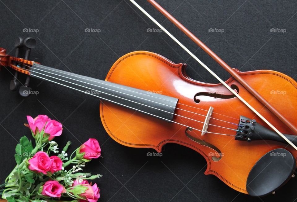 Wooden violin, stagg, musical instrument, violin and bow 