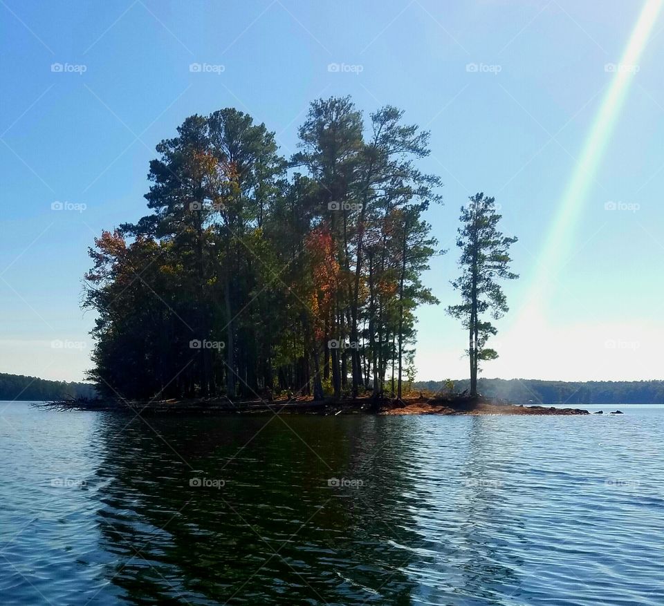 light shining on tree on island