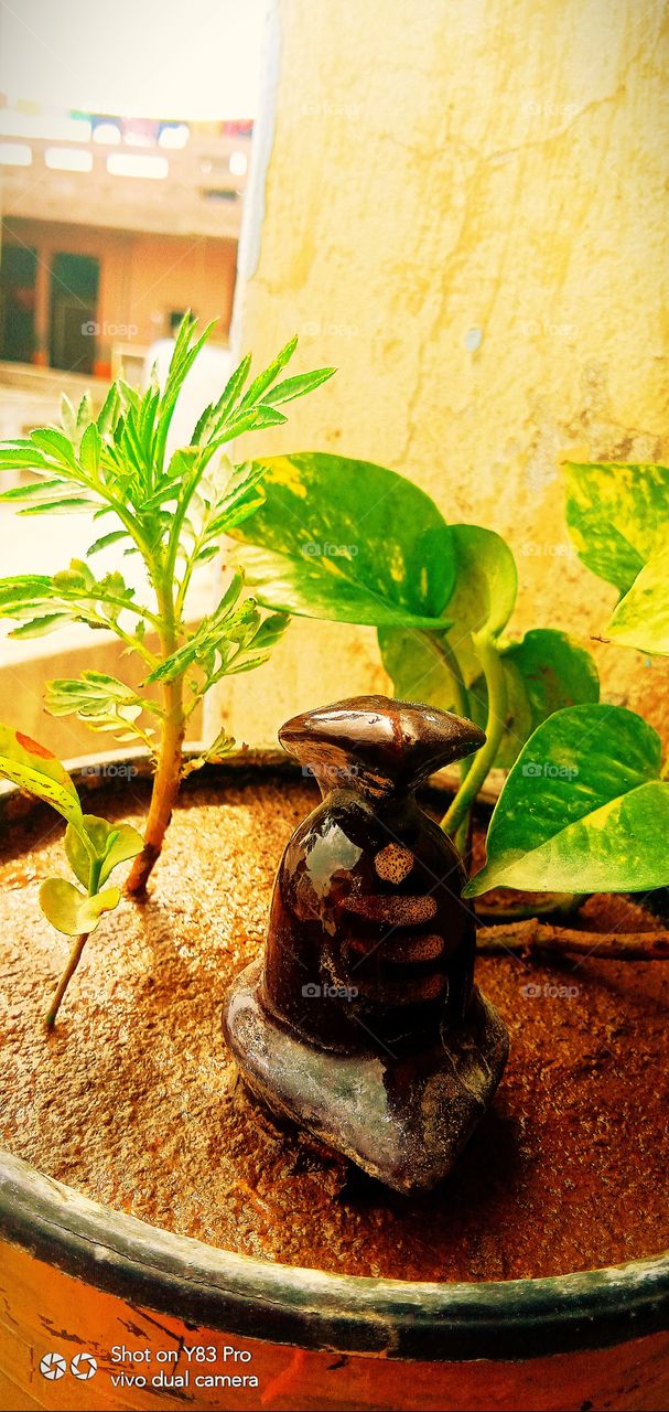 #today #love #instagram #instagood #like #follow #photography #life #photooftheday #me #happy #picoftheday #beautiful #instadaily #nature #fashion #photo #art #likeforlikes #smile #motivation #myself #now #style #day #selfie #music #insta #l #bhfyp