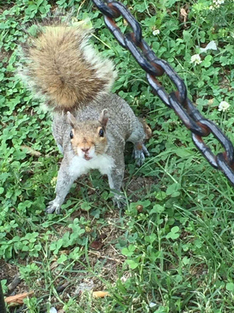 I told you don’t come around here no more 