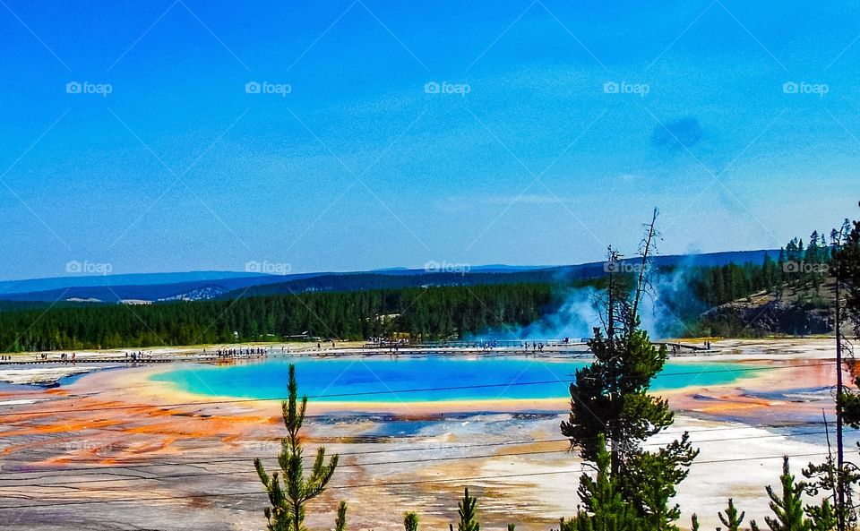 Yellowstone Prismatic pool