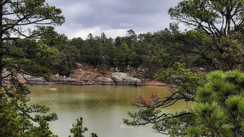 beautiful  lagoon,lagoon,water,cloudy, pine, trees,cloudy,colorful, nature,landscape