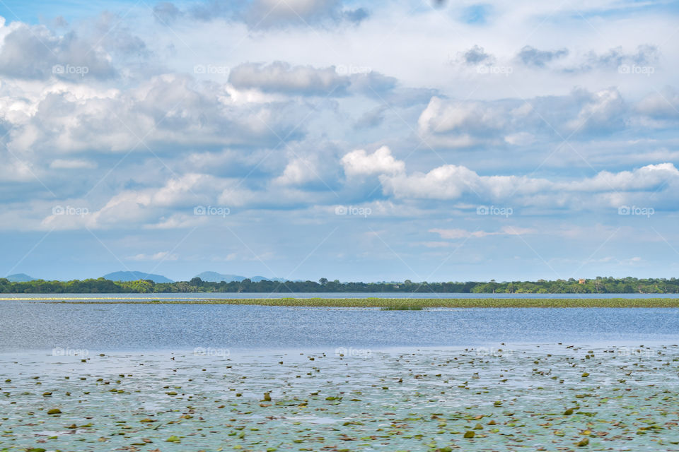 Man made lake in Sri Lanka