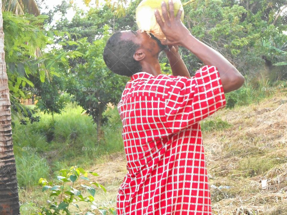 Drinking Coconut Water