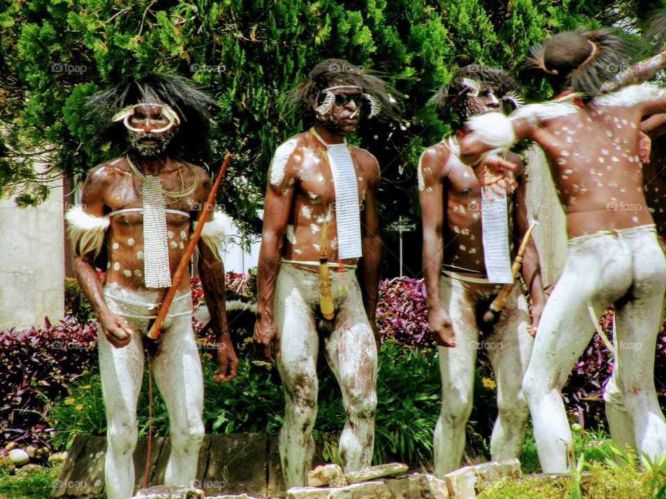 Papuan warriors