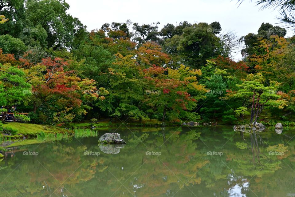 Autumn garden