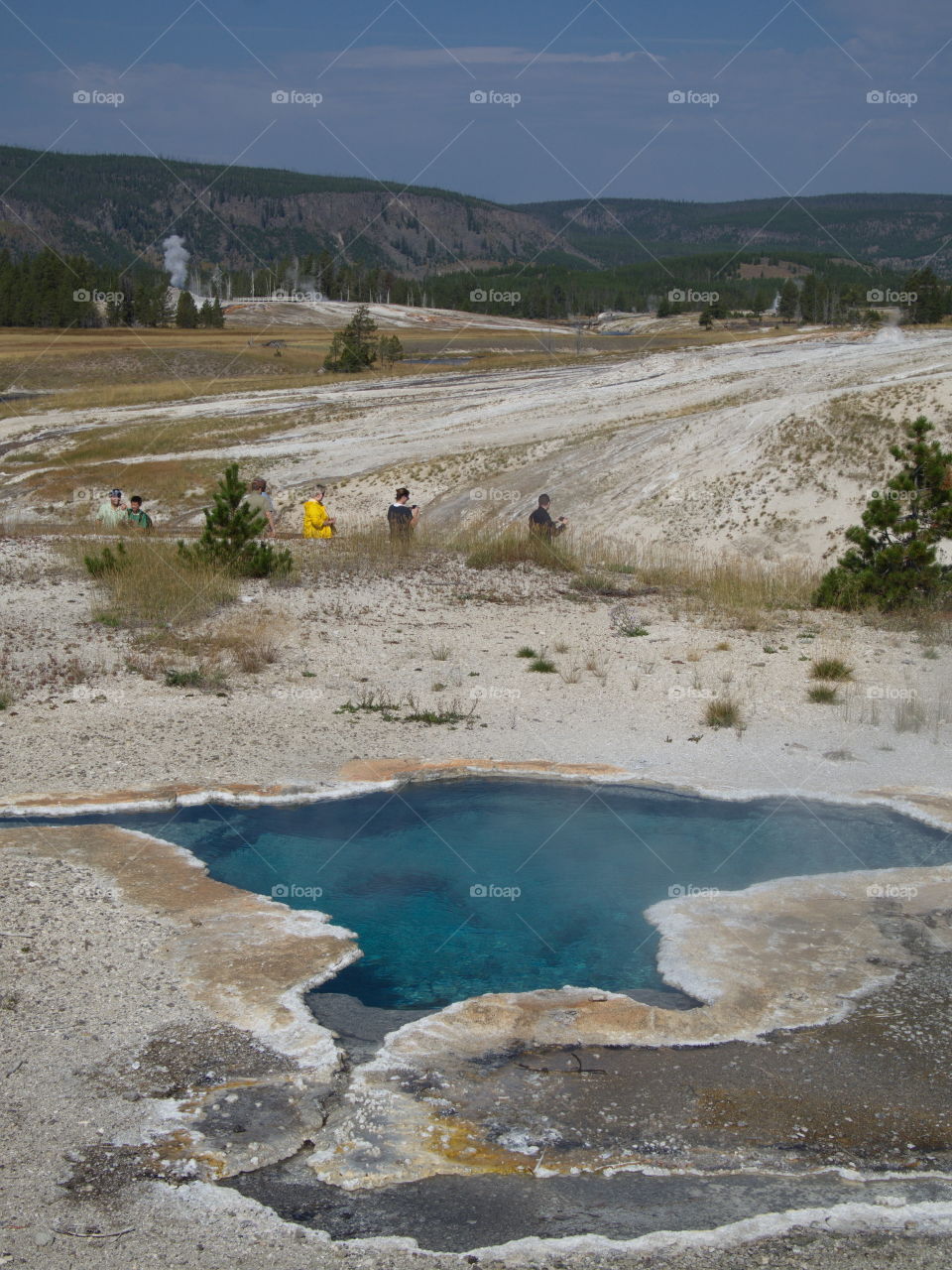 The magnificent turquoise waters of Blue Star Spring on Geyser Hill in Yellowstone National Park in Northern Wyoming on a summer day.