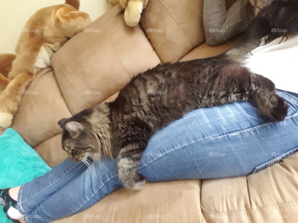 Now you can't leave.