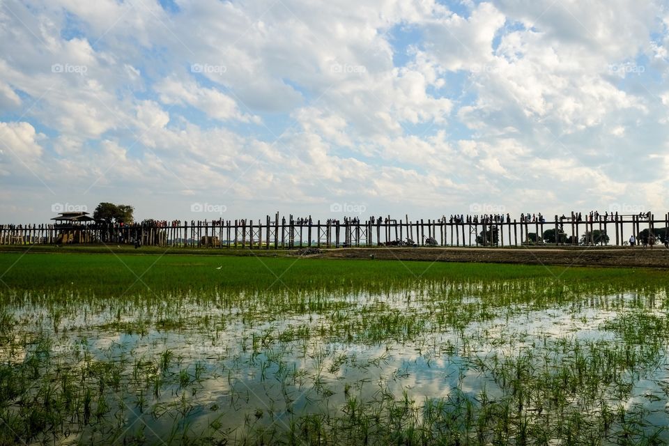 Longest teak bridge