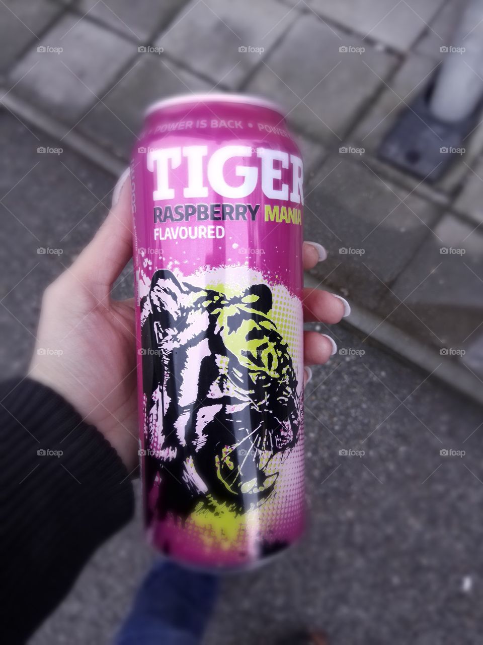 tiger