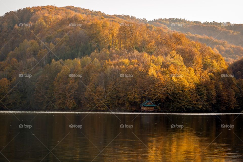 Autumn lake